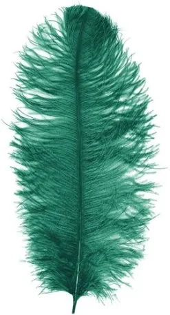Overig Baret Struisvogelveer Groen 60-70cm