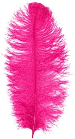 Overig Baret Struisvogelveer Pink 60-70cm
