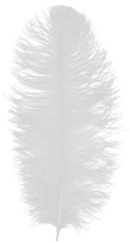 Overig Baret Struisvogelveer Wit 60-70cm 3 Overig Baret Struisvogelveer Wit 60-70cm