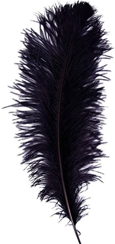 Overig Baret Struisvogelveer Zwart 60-70cm