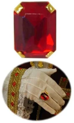 Overig Sinterklaas Ring Rechthoek