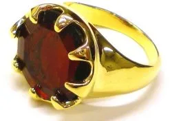 Overig Sinterklaas Ring Rond Luxe