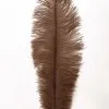 Overig Struisvogelveer Bruin Ca. 30cm -Decoratie Verkoopwinkel struisvogelveer bruin ca 30cm