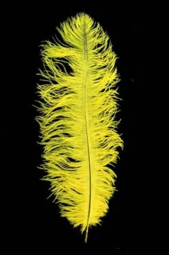 Overig Struisvogelveer Geel Ca. 30cm