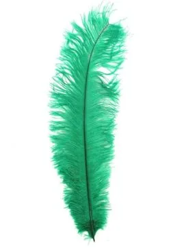 Overig Struisvogelveer Groen Ca. 30cm