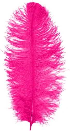 Overig Struisvogelveer Hot Pink Ca. 30cm 3 Overig Struisvogelveer Hot Pink Ca. 30cm