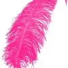 Overig Struisvogelveer Hot Pink Ca. 50-60cm -Decoratie Verkoopwinkel struisvogelveer hot pink ca 50 60cm