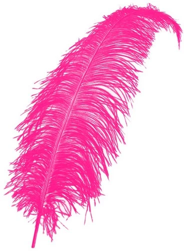 Overig Struisvogelveer Hot Pink Ca. 50-60cm 3 Overig Struisvogelveer Hot Pink Ca. 50-60cm