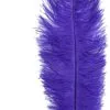 Overig Struisvogelveer Paars Ca. 30cm -Decoratie Verkoopwinkel struisvogelveer paars ca 30cm