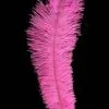 Overig Struisvogelveer Pink Ca. 30cm -Decoratie Verkoopwinkel struisvogelveer pink ca 30cm