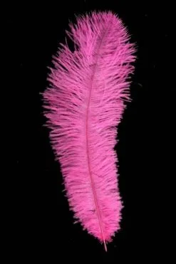 Overig Struisvogelveer Pink Ca. 30cm