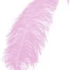 Overig Struisvogelveer Roze 50-60cm -Decoratie Verkoopwinkel struisvogelveer roze 50 60cm