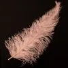 Overig Struisvogelveer Roze Ca. 30cm