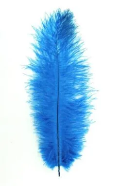 Overig Struisvogelveer Turquoise Ca. 30cm