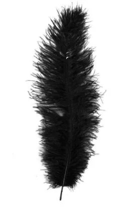 Overig Struisvogelveer Zwart Ca. 30cm