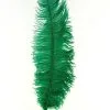 Overig Struisvogelveren 50-60cm Groen -Decoratie Verkoopwinkel struisvogelveren 50 60cm groen