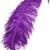 Overig Struisvogelveren 50-60cm Paars -Decoratie Verkoopwinkel struisvogelveren 50 60cm paars